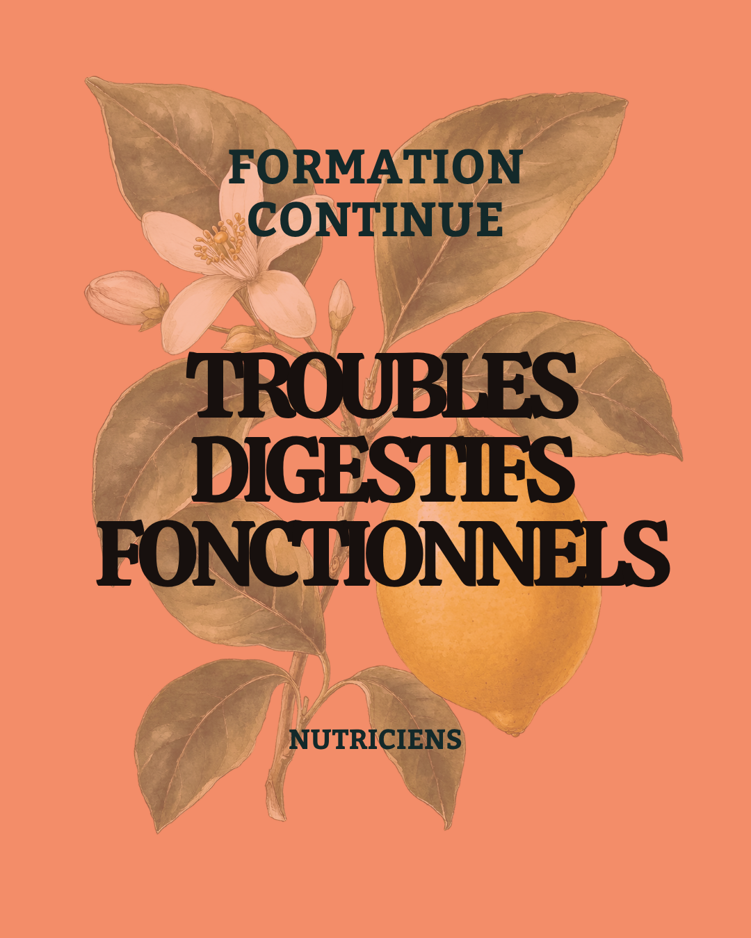 troubles digestifs fonctionnels, formation continue