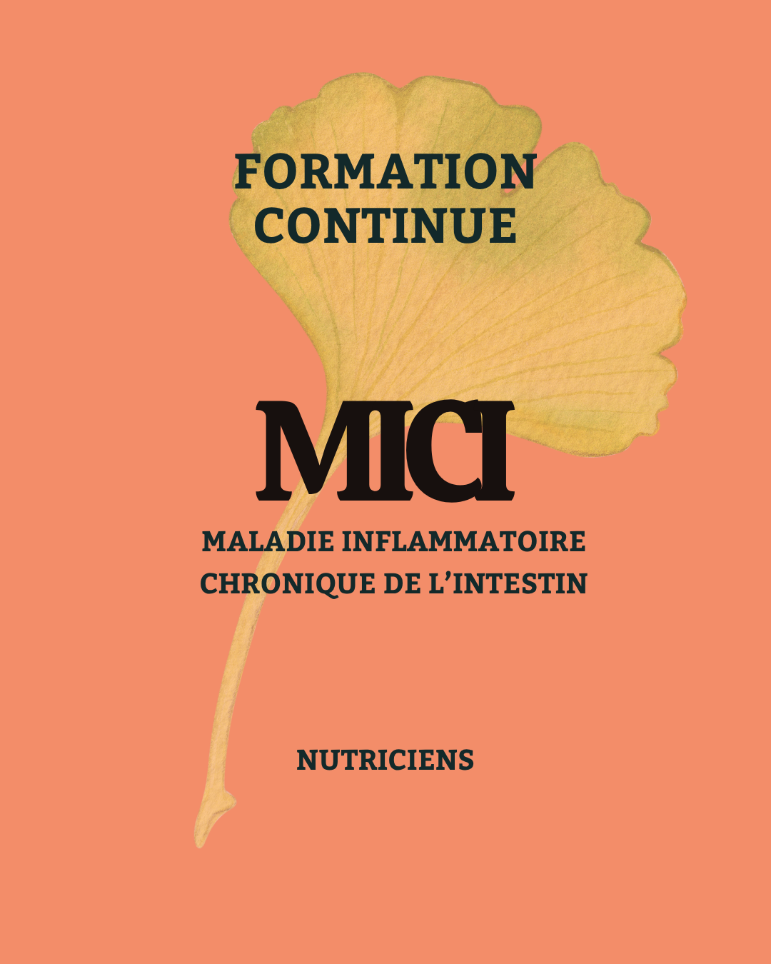 formation maladie inflammatoire chronique de l'intestin
